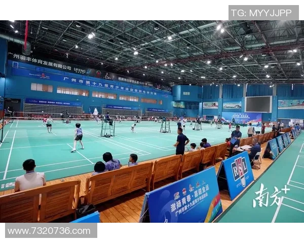 南京羽毛球队的训练与竞技状态全景揭秘助力羽毛球运动发展